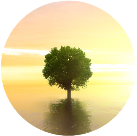 Naturheilpraxis Rauberger Logo
